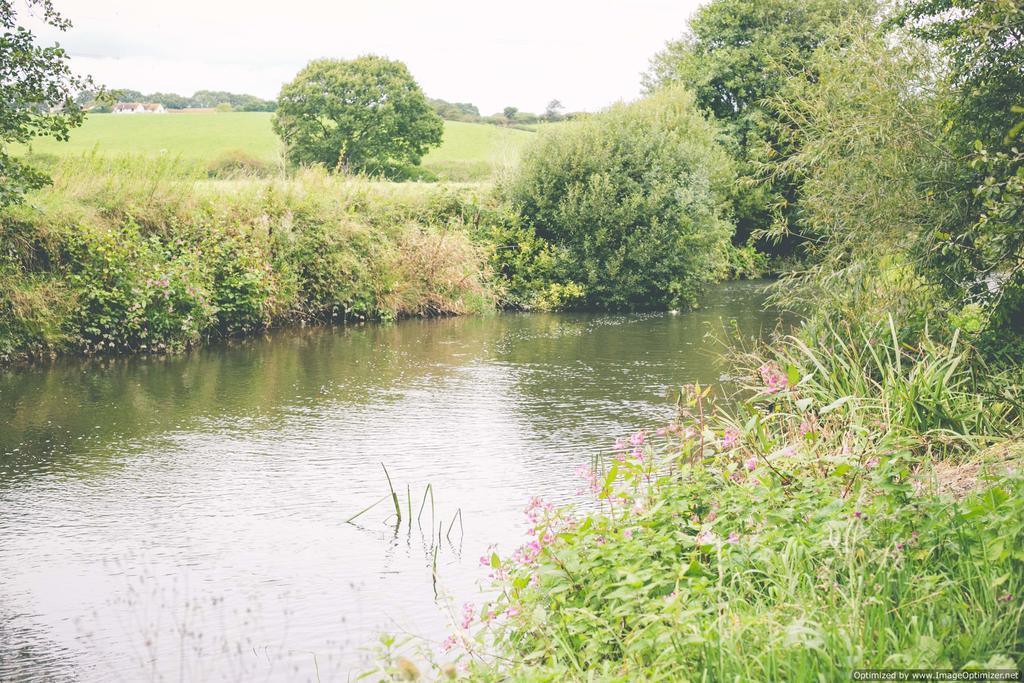 Weycroft Mill House Bed And Breakfast Axminster Exteriér fotografie